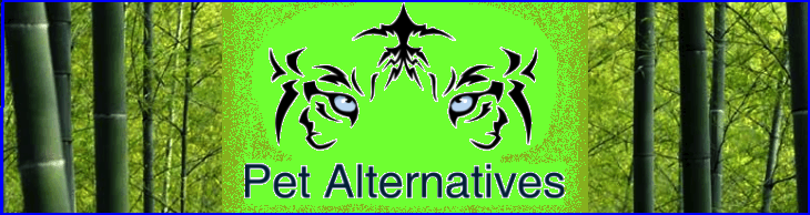 Pet Alternatives