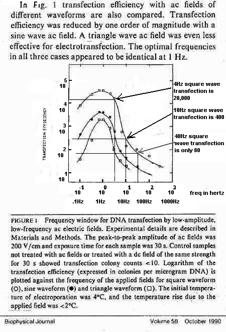 Transfection graph